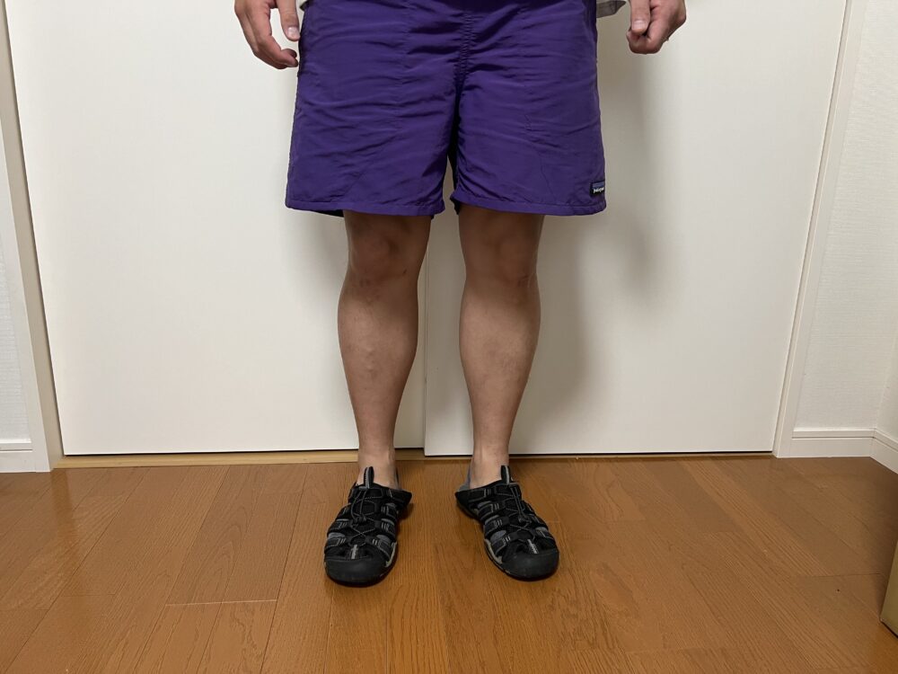 正面から見た目