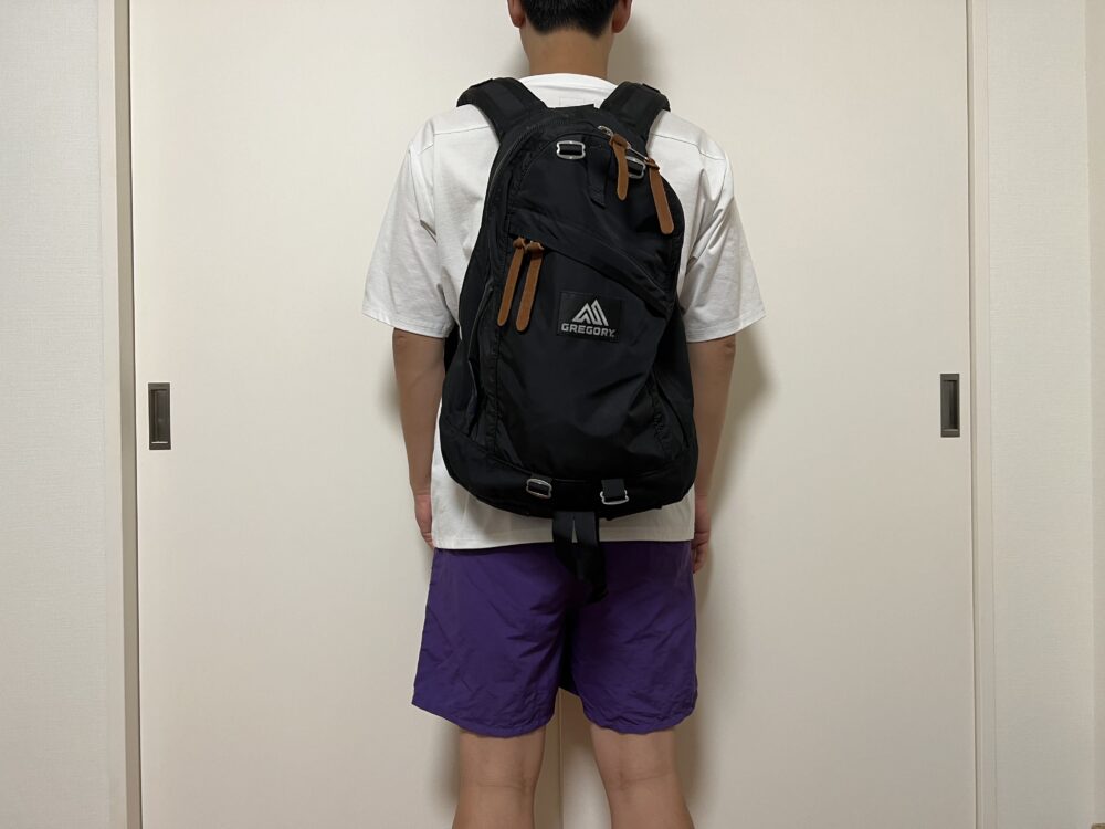 デイパック使用のイメージ(背面)