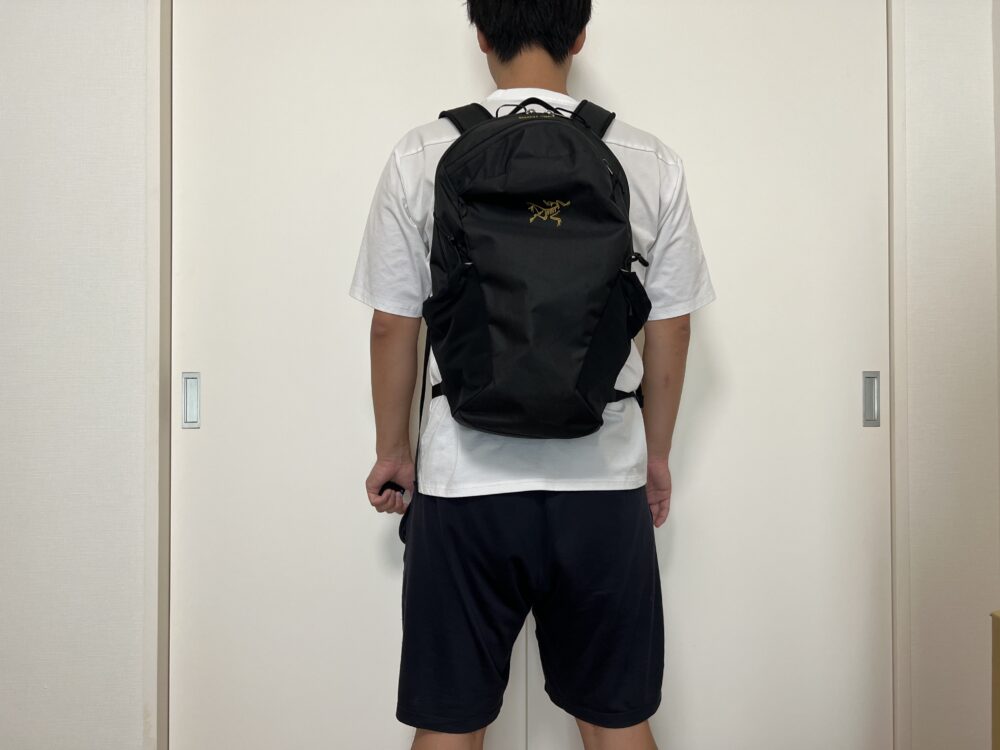 マンティス16使用のイメージ（背面）