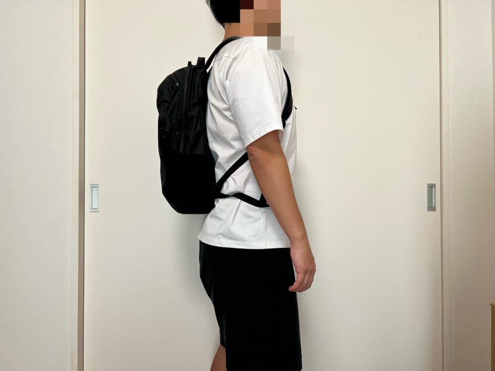 ●マンティス16使用のイメージ（側面）