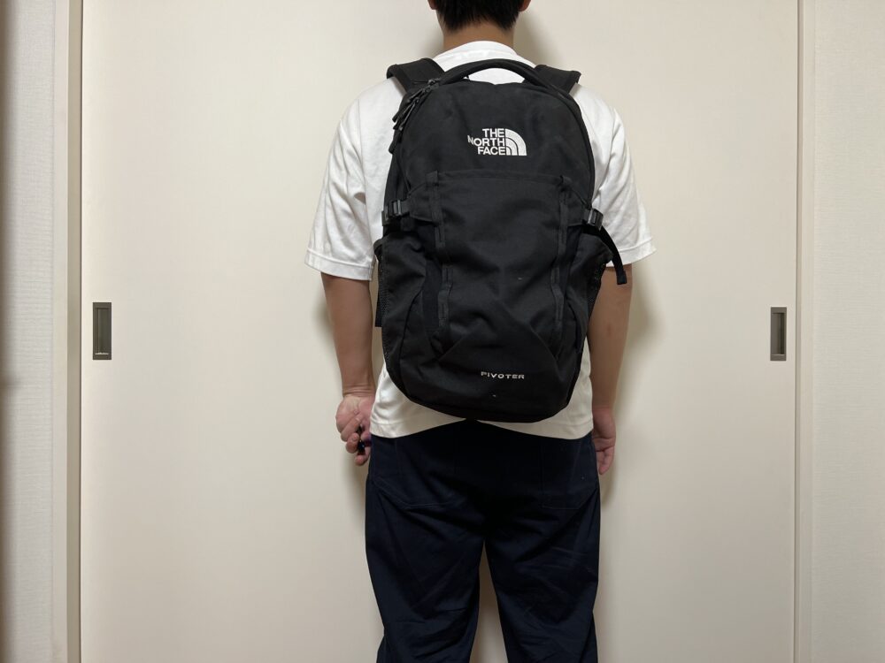 ピボター使用のイメージ（背面）