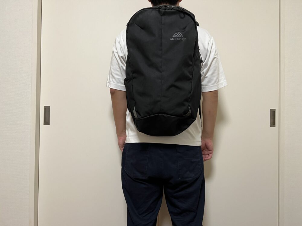 ルーヌ22使用のイメージ(背面)