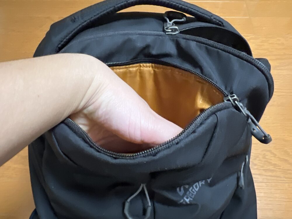 サイズは手のひらくらい