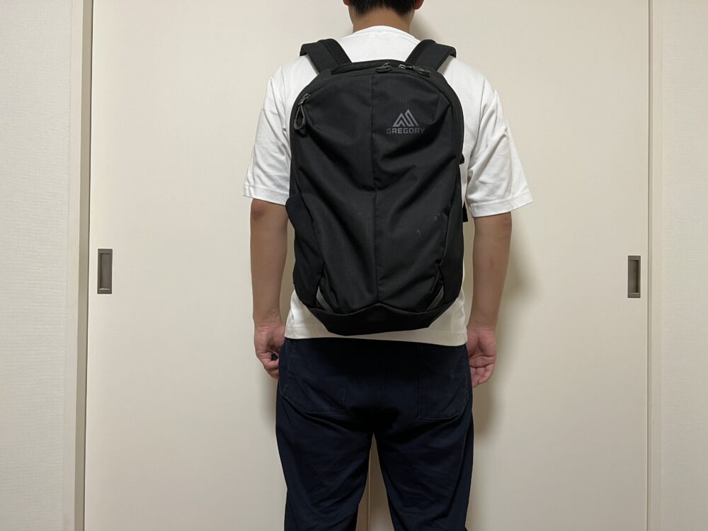 ルーヌ18使用のイメージ（背面）