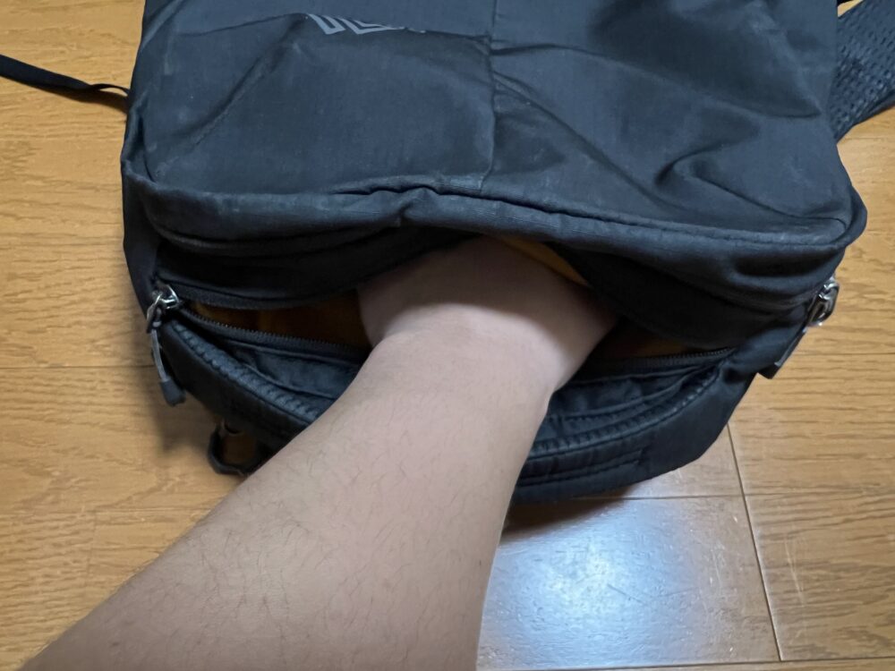 サイズは手のひらくらい