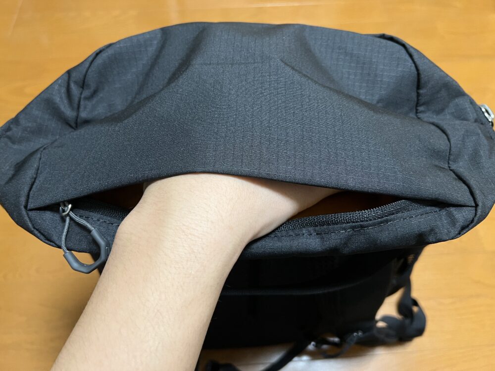 サイズは手のひらくらい