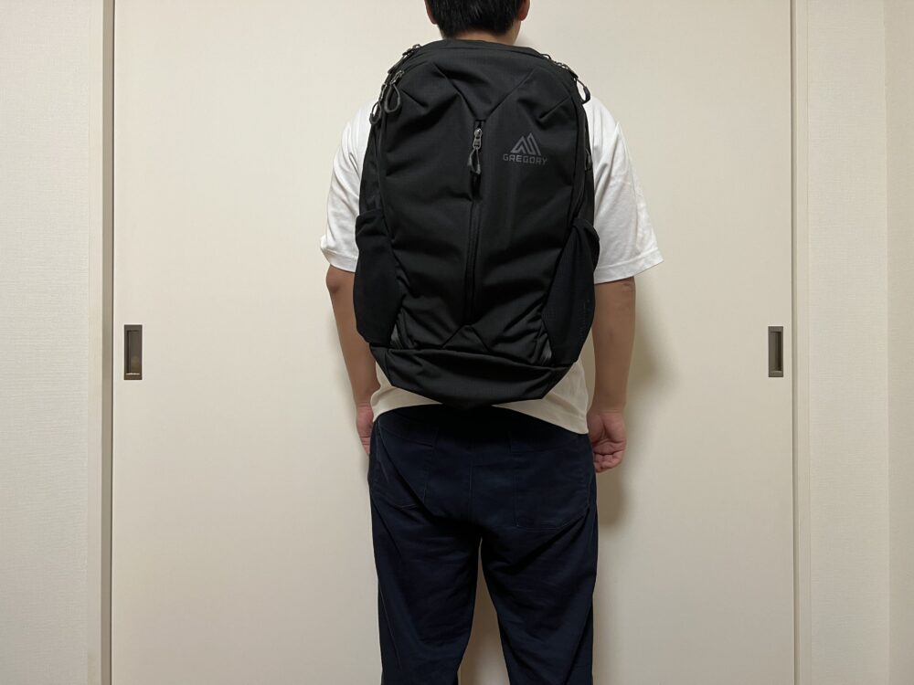 ルーヌ28使用のイメージ(背面)