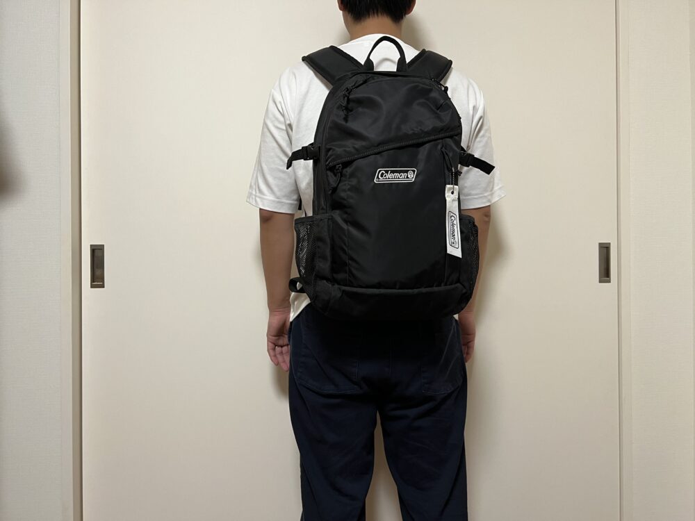 ウォーカー25使用のイメージ（背面）