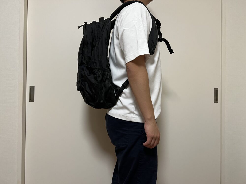 パナシーア30使用のイメージ(側面)