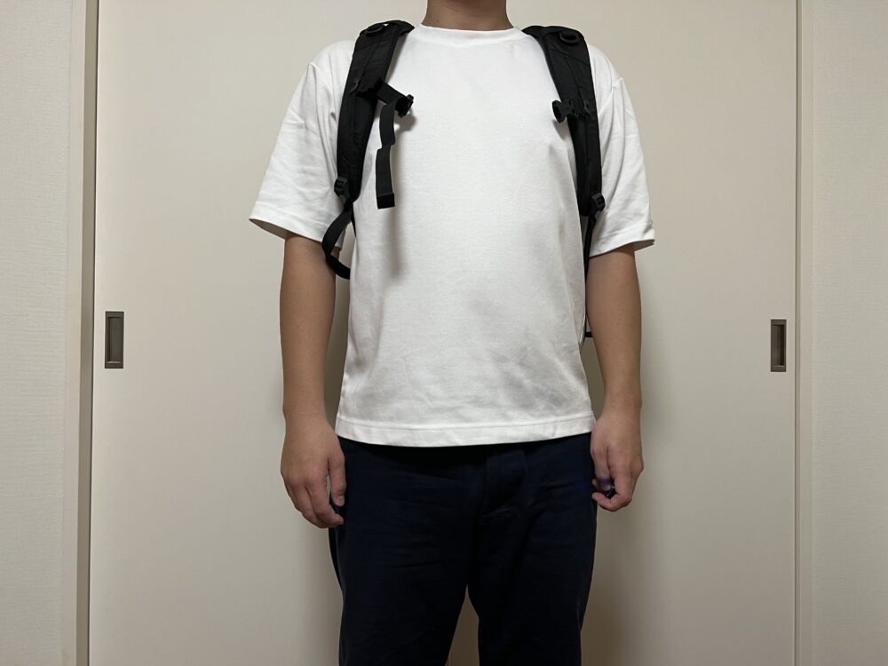 パナシーア33使用のイメージ（正面）