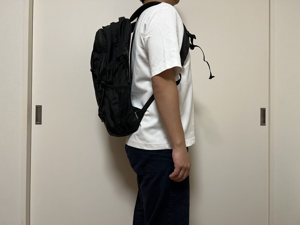 パナシーア33使用のイメージ（側面）