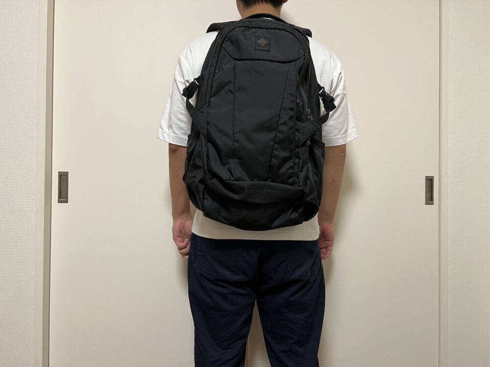 パナシーア33使用のイメージ（背面）