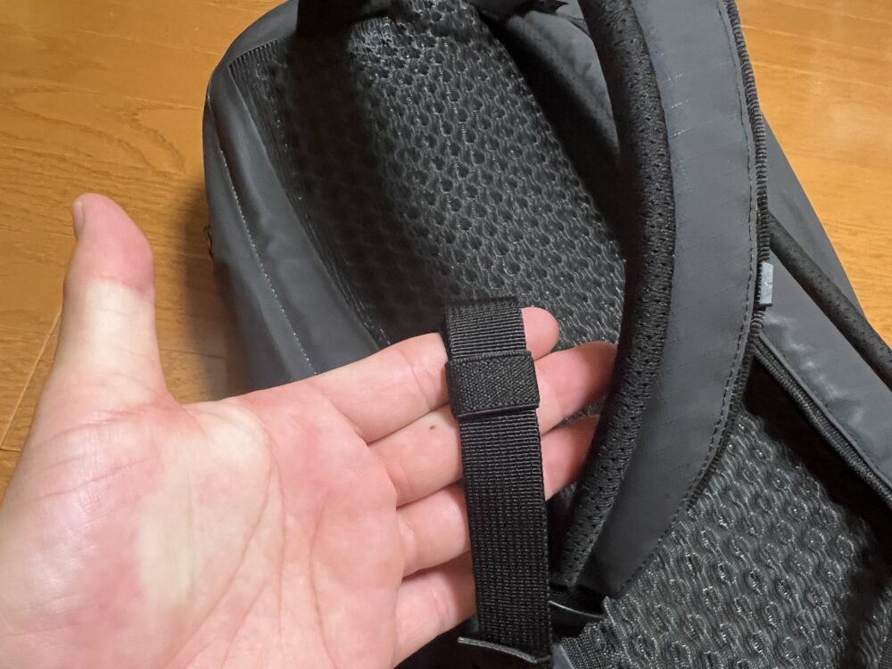 ベルト