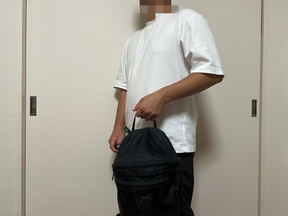 手で持って
